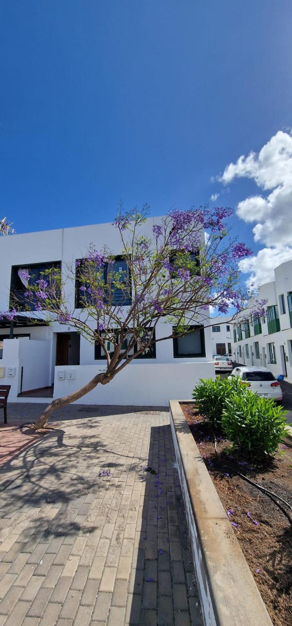 Apartamento Margarita Playa Blanca  Extérieur photo