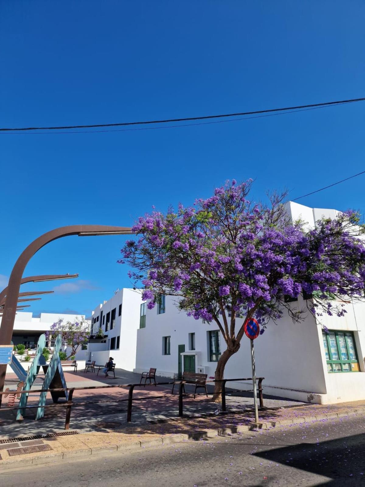 Apartamento Margarita Playa Blanca  Extérieur photo